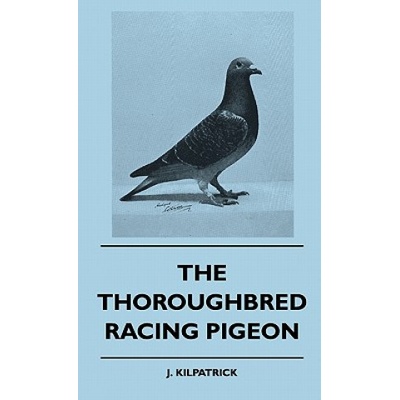 The Thoroughbred Racing Pigeon | J. Kilpatrick