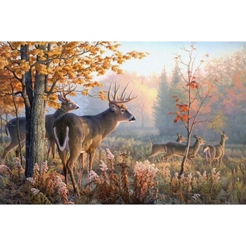 Norimpex - Puzzle Diamant painting: Deer in the morning mist 30x40 cm - 1 - 39 piese