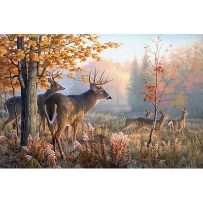 Norimpex - Puzzle Diamant painting: Deer in the morning mist 30x40 cm - 1 - 39 piese