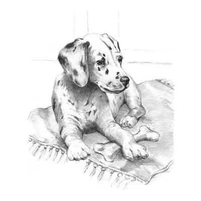 Royal & Langnickel - Творчески комплект за графика - Далматинец (SKBN21)