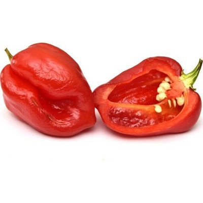 Piquant HABANERO ROSSO semínka chilli papriček 12 s