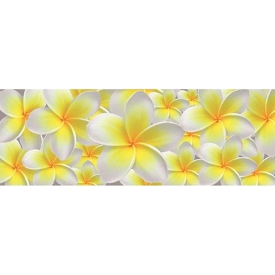 Preinterier FT0222 Fototapeta na stenu Žltobiele kvety vlies 620cm x 219cm