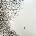 Wilco - Sky Blue Sky (2 LP) (0075597998689)