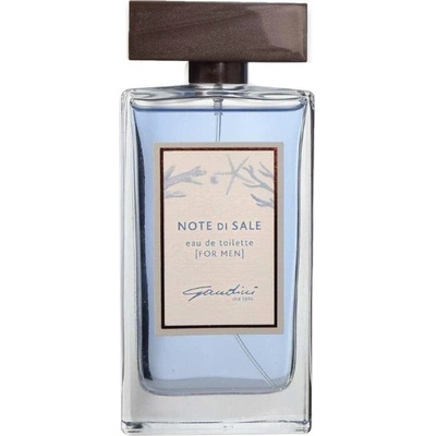 Gandini Note Di Sale toaletní voda pánská 100 ml tester