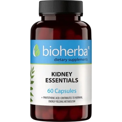 Bioherba Kidney Essentials, 60 капсули, Bioherba