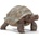 Schleich Фигурка Schleich Wild Life - Гигантска костенурка (14824-03366)