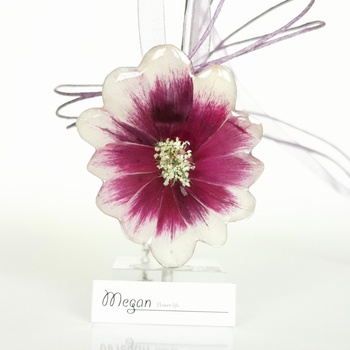 Meganflo Колие циклама