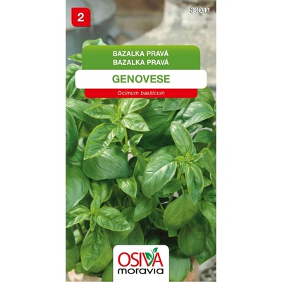 Osiva Moravia Bazalka pravá GENOVESE