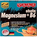Z - Konzept Magnesium + B6 Shots - pomeranč 20 ampulí/25ml