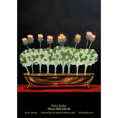 Plant Still Life III