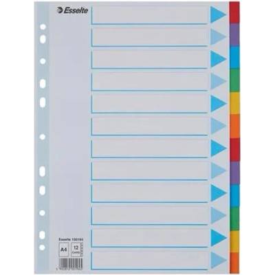 ESSELTE Register, kartón, A4, 12 dielny, popisovateľná predná strana, ESSELTE "Standard", farebný