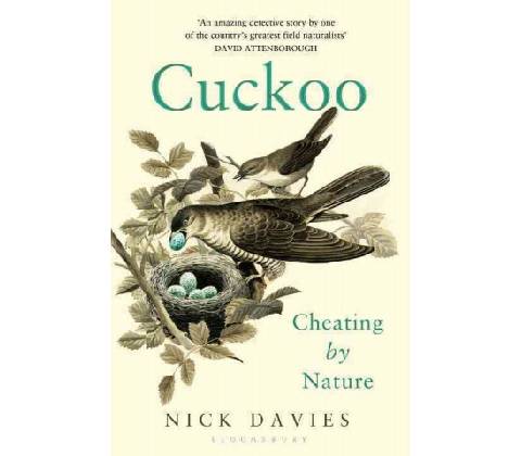 CUCKOO DAVIES NICK