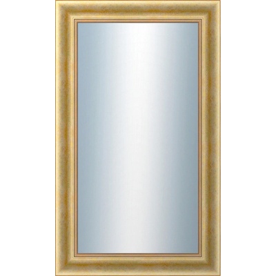 DANTIK KŘÍDLO 60 x 100 cm zlaté 2772