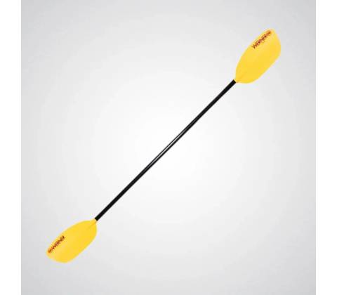Werner Rio FG
