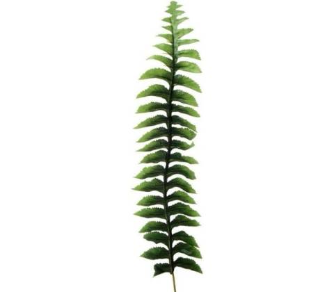 Papraď list - dl. 38 cm