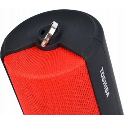 Toshiba Fab TY-WSP70