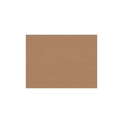 Rosco 156 Chocolate