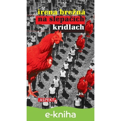 Na slepačích krídlach - Irena Brežná