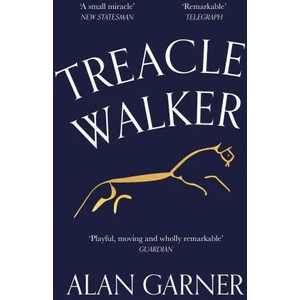 Treacle Walker | Alan Garner (ISBN: 9780008477806)
