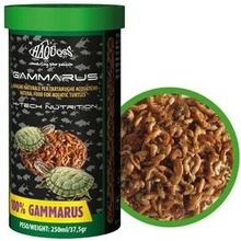 Haquoss Gammarus pro želvy 250 ml