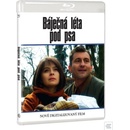 Báječná léta pod psa BD