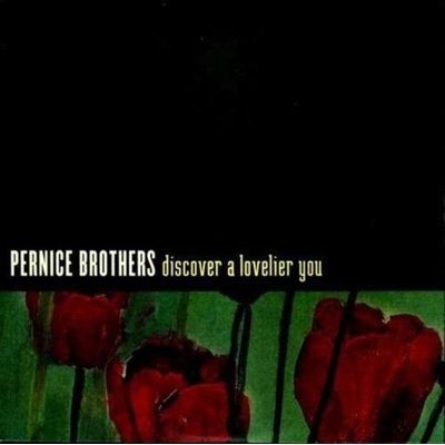 Pernice Brothers - Discover A Lovelier You