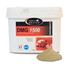 Horse Master DMG 1500 1,3 kg