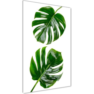 Vertikálny fotoobraz na skle Monstera 50x100 cm
