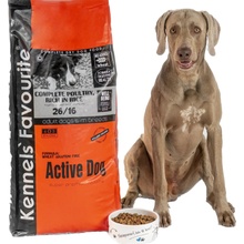 Kennels' Favourite Active dog 1 kg