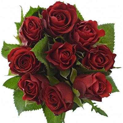 Kytice 9 červených růží SIMPLY RED 50 cm