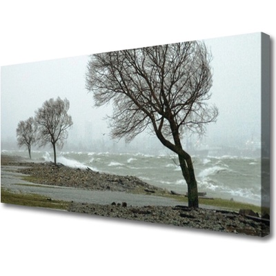 Obraz Canvas More búrka vlny 100x50 cm