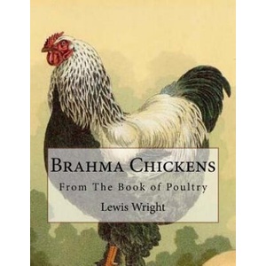 Brahma Chickens: From The Book of Poultry | Lewis Wright (ISBN: 9781979401869)