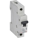 Legrand RX3 1P B20
