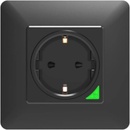 Solo WP1