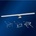 Top Light 1310