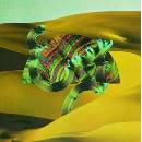DJANGO DJANGO - DJANGO DJANGO LP