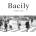 Bacily
