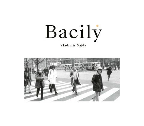Bacily