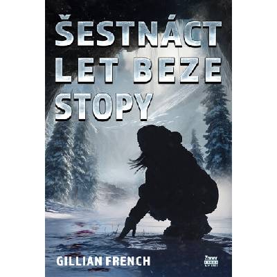Šestnáct let beze stopy - French Gillian