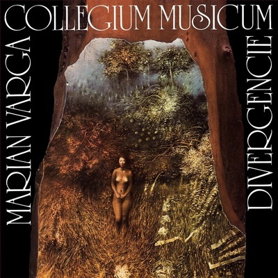 COLLEGIUM MUSICUM - DIVERGENCIE 2 LP – Hledejceny.cz