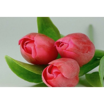 Kristian Samson Tulipán kus 40cm červený F244-R1