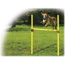 Dog Fantasy Agility set překážek - komplet 100 x 116 cm 2ks