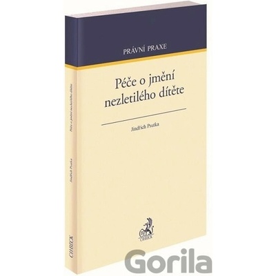 Péče o jmění nezletilého dítěte