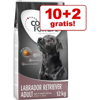 Concept for Life Medium Sterilised 12 kg