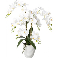 Gasper Umělá orchidej v keramickém květináči, 67 cm, bílá