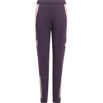 adidas AFC TR PNT Y jf2927