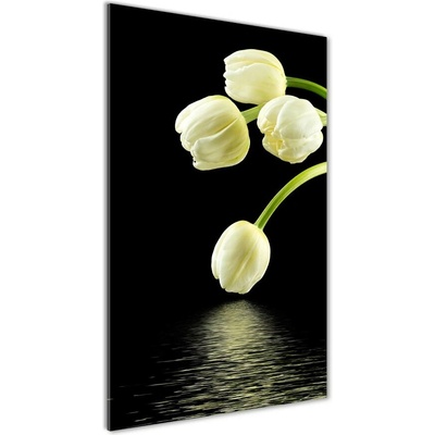 Vertikálny foto obraz fotografie na skle Biele tulipány 50x100 cm