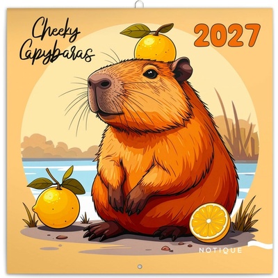 NOTIQUE Poznámkový Rozverné kapybary 30 x 30 cm 2027