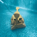 Maytronics Dolphin Wave 100