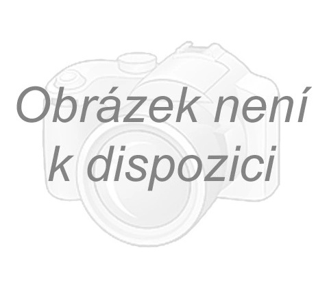 Will Grayson, Will Grayson - John Green